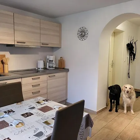 Lanckensburg Fewo1 - Doris アパート *