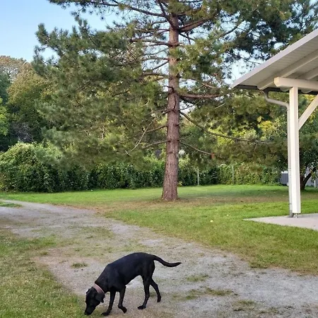 Lanckensburg Fewo1 - Doris アパート アルテンキルヒェン