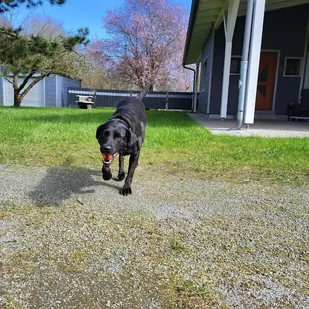 アパート Lanckensburg Fewo1 - Doris *