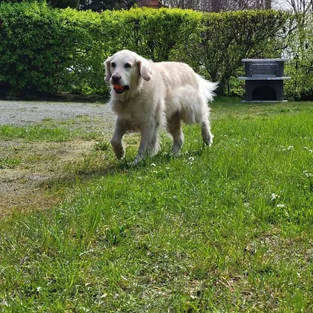 Lägenhet Lanckensburg Fewo1 - Doris *